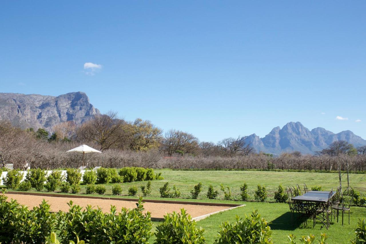 La Chataigne Wines & Guest Cottages Franschhoek Esterno foto