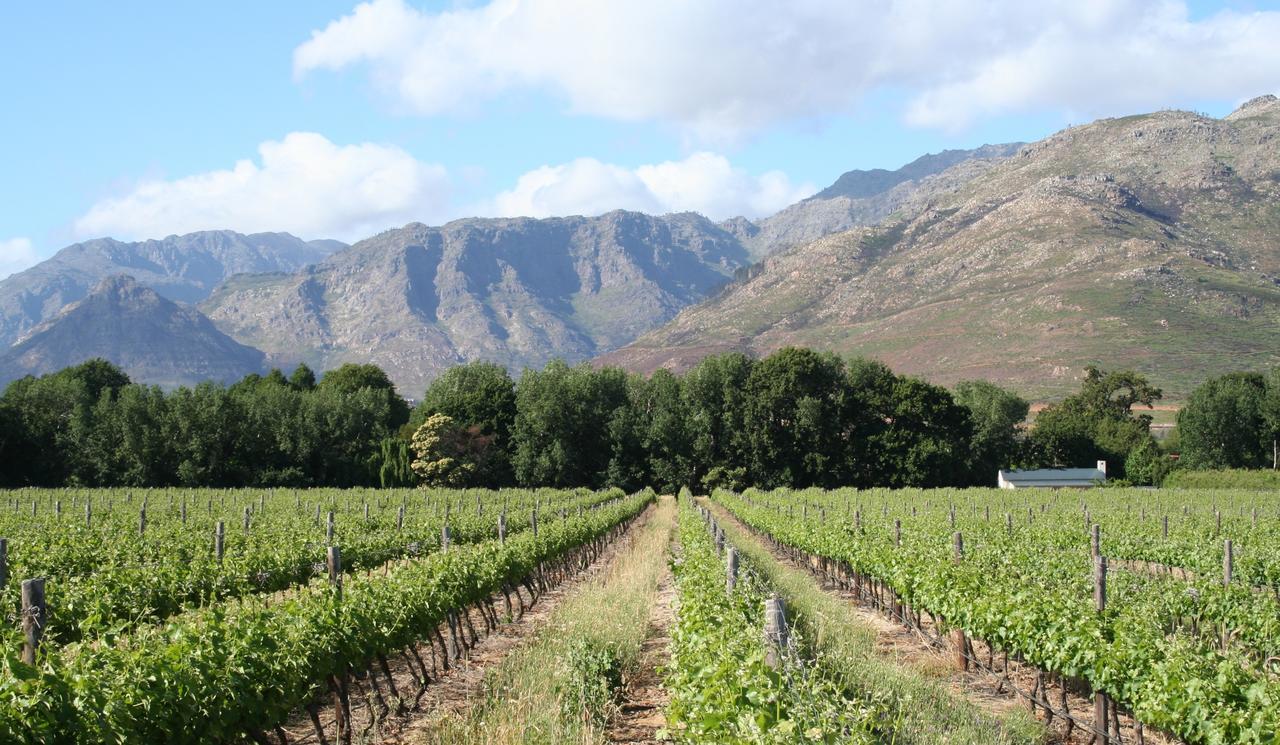 La Chataigne Wines & Guest Cottages Franschhoek Esterno foto