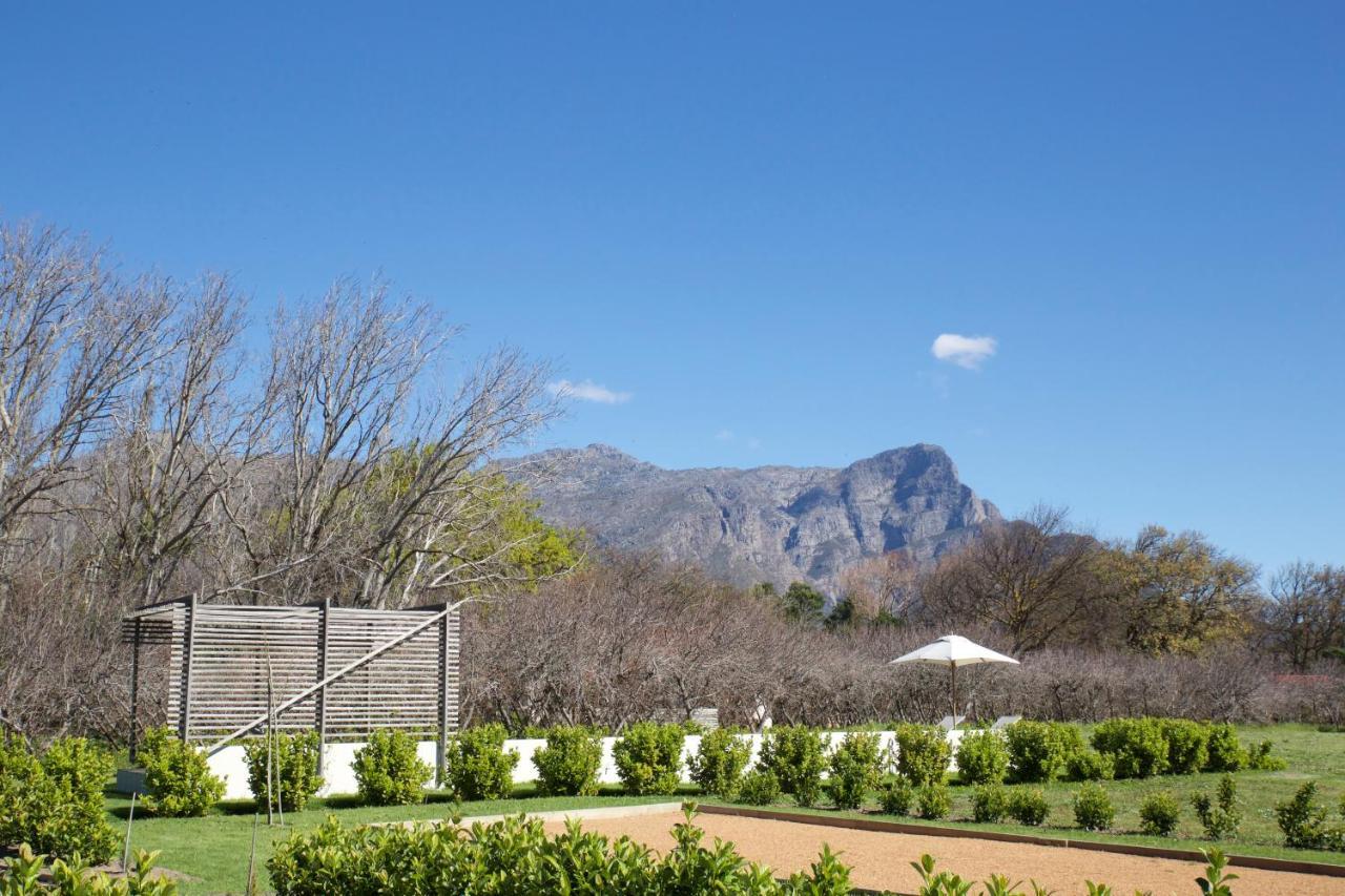 La Chataigne Wines & Guest Cottages Franschhoek Esterno foto