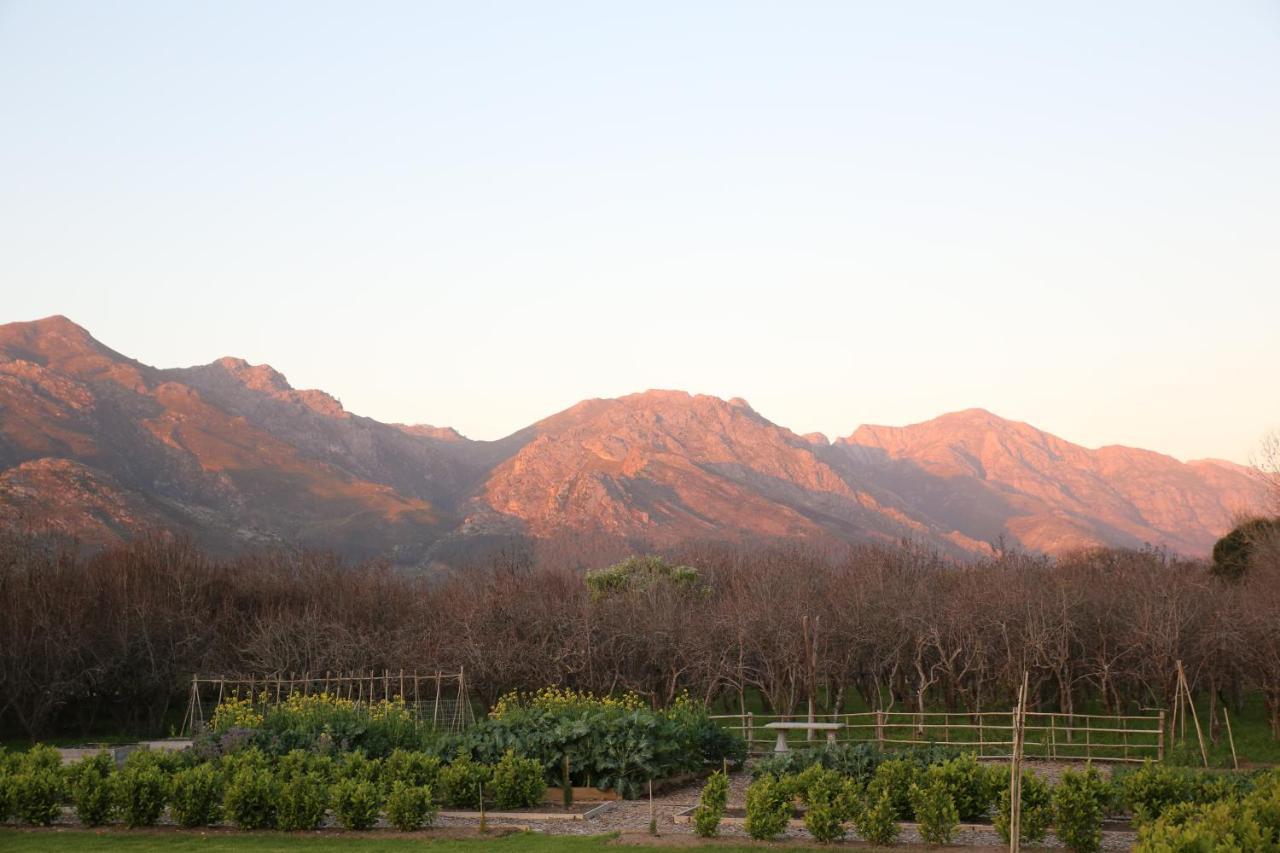 La Chataigne Wines & Guest Cottages Franschhoek Esterno foto