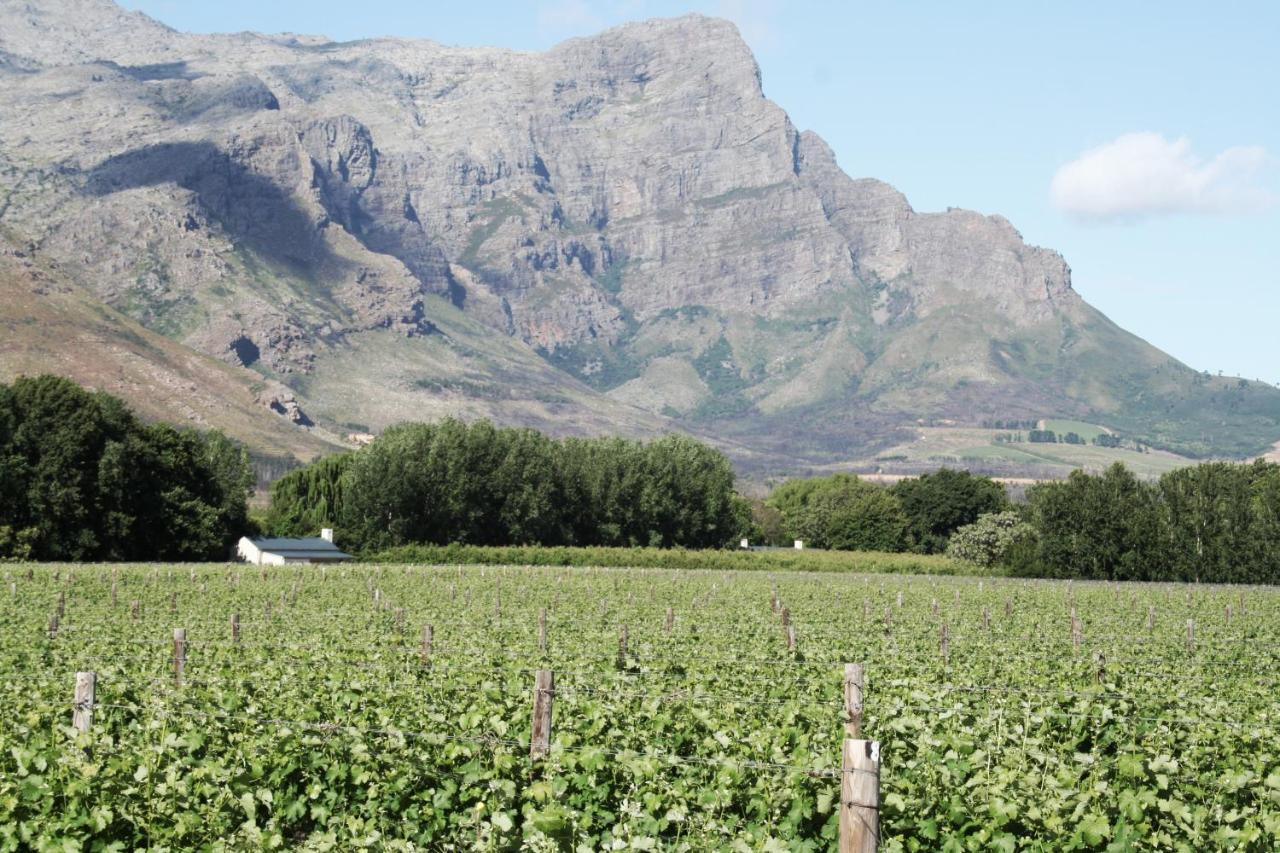 La Chataigne Wines & Guest Cottages Franschhoek Esterno foto