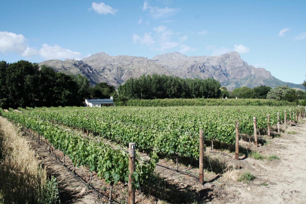 La Chataigne Wines & Guest Cottages Franschhoek Esterno foto